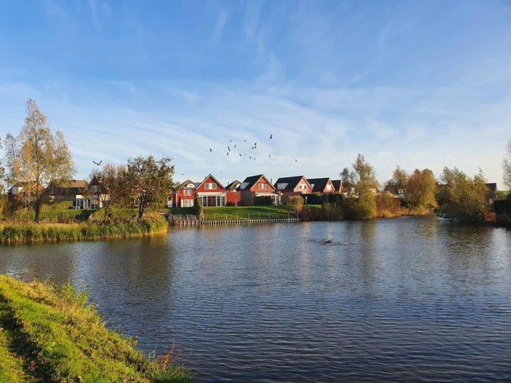 Grimaud 151 - Kustpark Village Scaldia Hoofdplaat Ngoại thất bức ảnh
